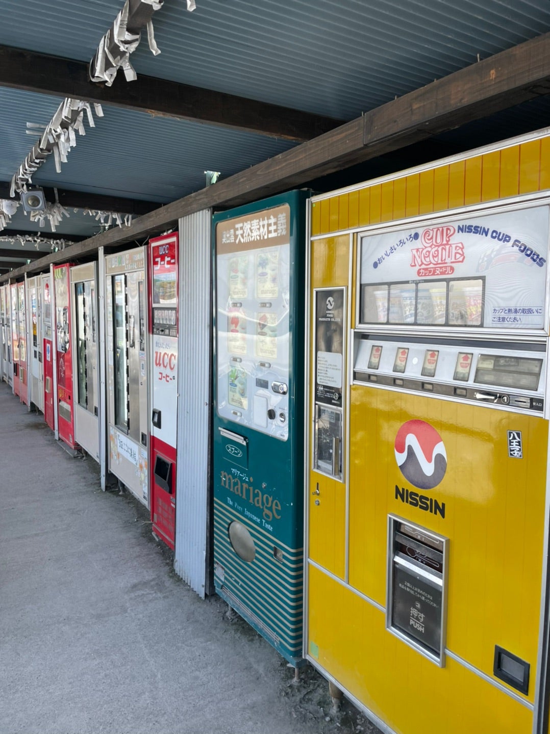 なぜ瓶コカ・コーラが普通の自動販売機に？ -はまれぽ.com横浜 川崎 湘南