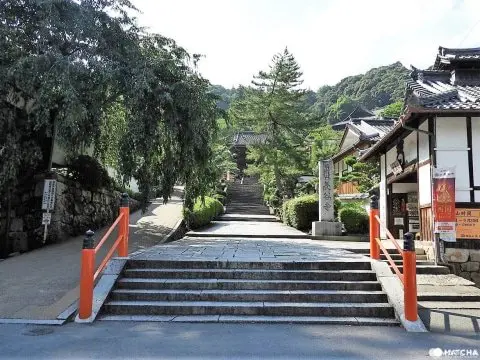 長谷寺：見どころ7〜9ますます訪ねたくなる奈良
