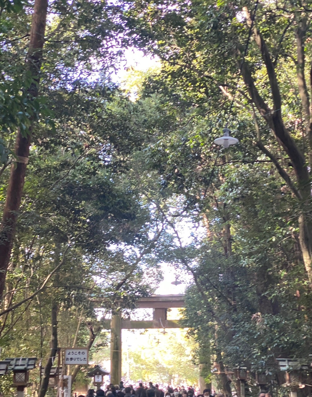 パワースポット巡り 日本で最古の神社「三輪明神・大神神社」＠奈良県桜井市オンライン 「一瞬、一瞬、諦めない！一瞬、一瞬、輝き続ける」生き方上手になって人生をもっと楽しむ人へ