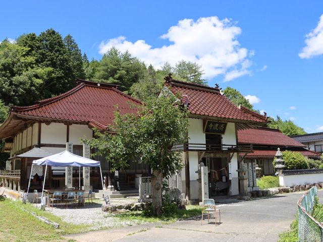岡山・新見 青空に眩しい白い鳥居と紫陽花が映える「済渡寺 さいどうじ