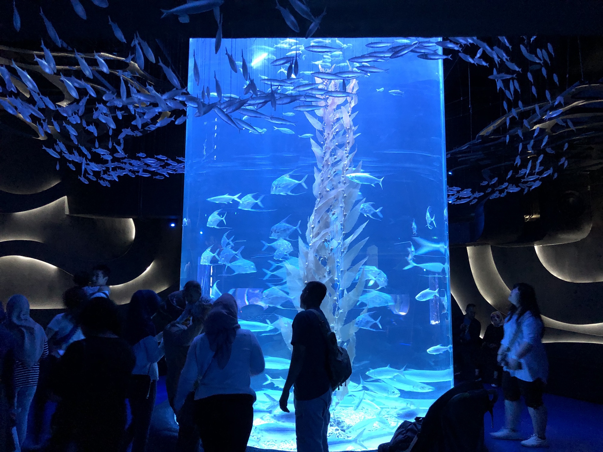 無料で泳げる場所がたくさん！マルタ・セントジュリアンズで海水浴山神明智