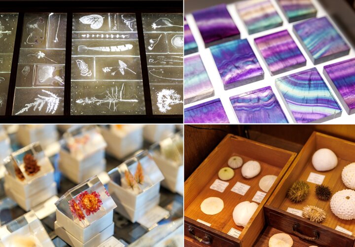 京都市中京区 鉱物をモチーフにしたメニューを堪能できる『ウサギノネドコ京都店』のカフェ号外NET 京都市