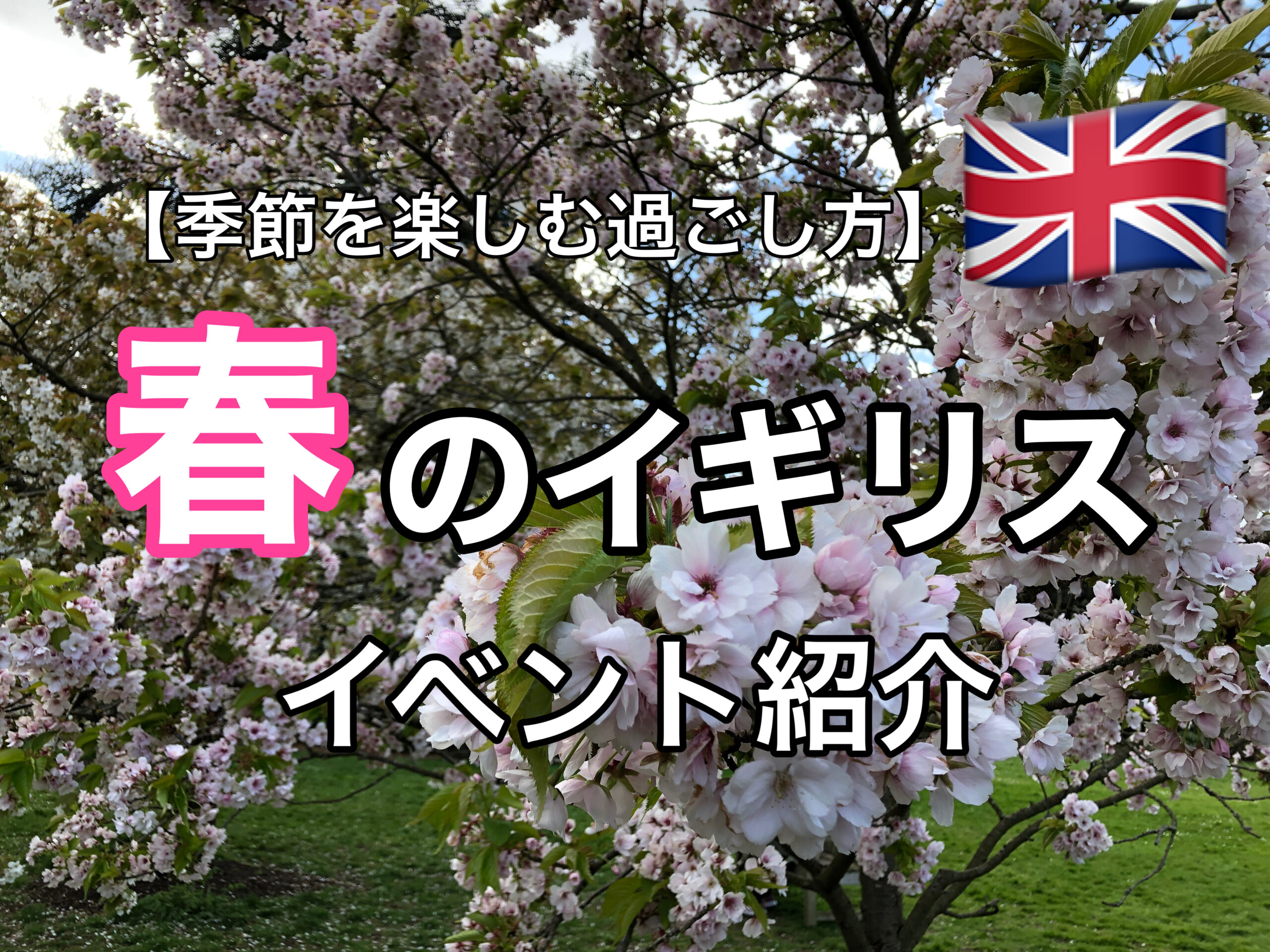 国内最大級のドッグイベント「London Dog Festival」 ロンドン