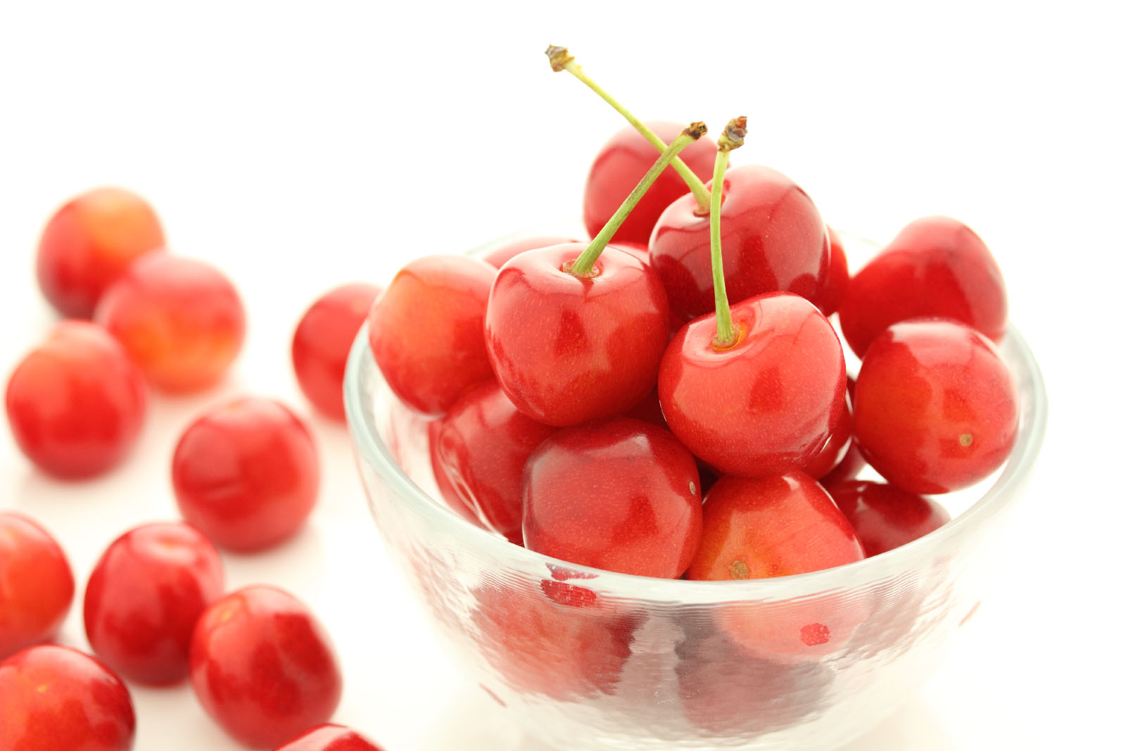 飛騨高山諏訪果樹園