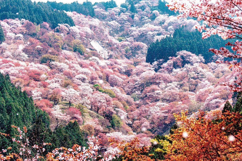 Goldwin Japan国立公園 Discover繋いで行く
