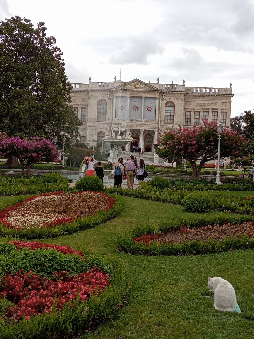 トルコ感動の旅・下 チュラン和田フォト