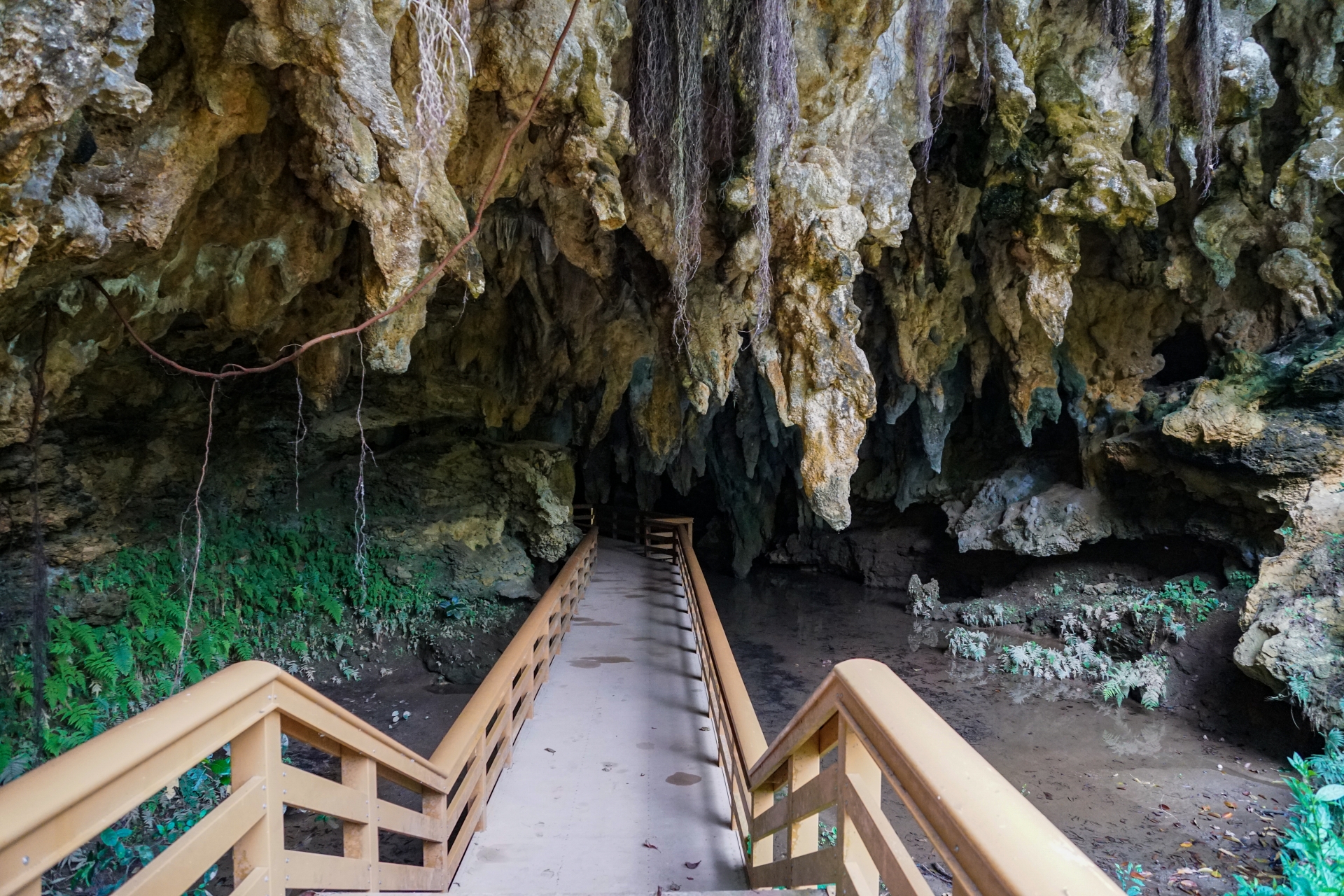 地元ガイドと一緒に鍾乳洞探検にチャレンジ！ 松田鍾乳洞ぎのざの”いいね”案内します宜野座村観光協会