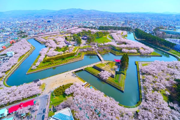 五稜郭公園 満開の桜絶景スポットを紹介山旅グルメブロガーサロン