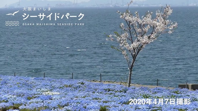 大阪まいしまシーサイドパーク