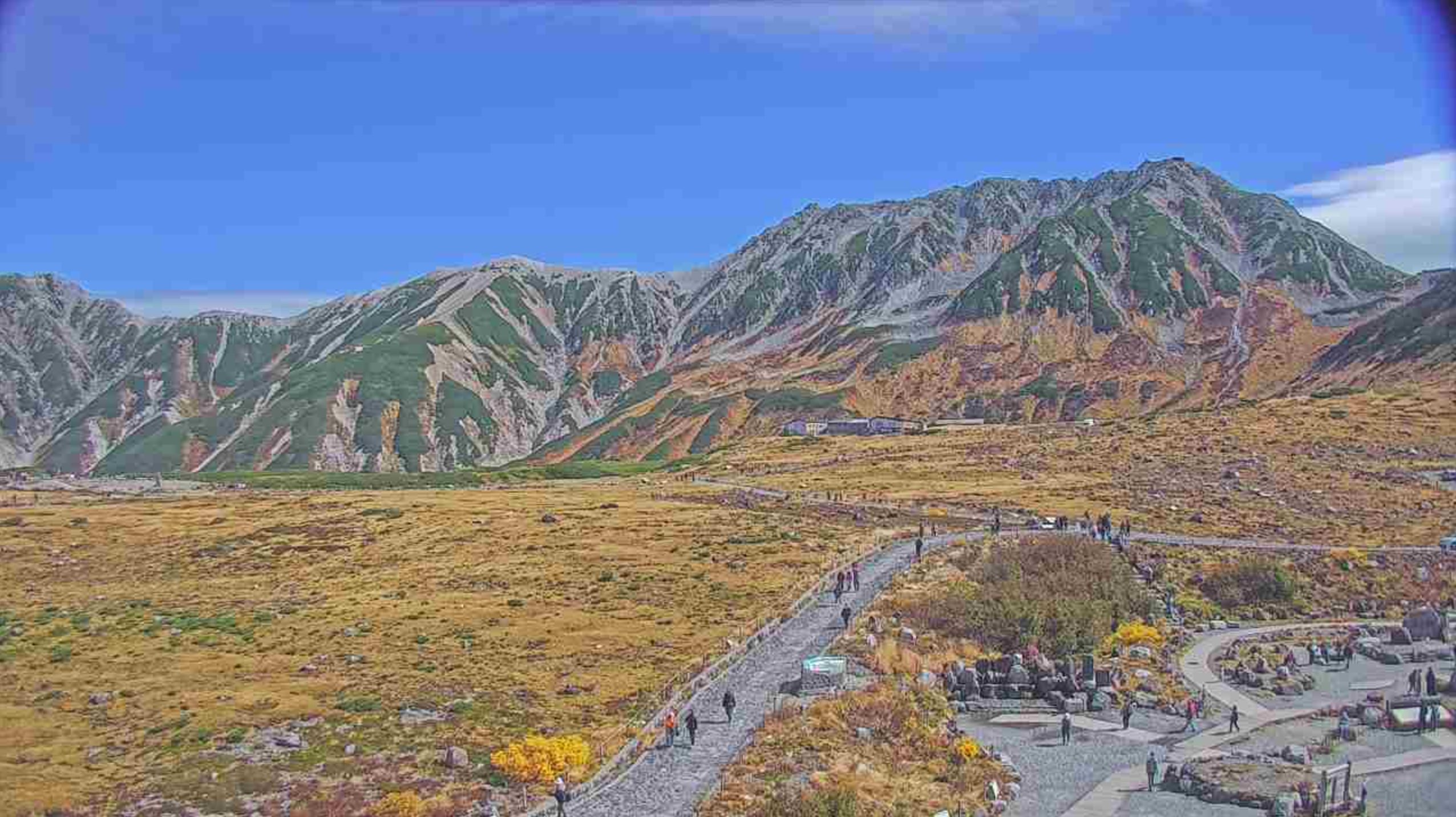 Amazon富士フイルム FUJIFILM手のひらサイズカメラ チェキ INSTAX