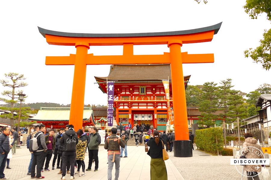 伏見稲荷大社 インスタ映え写真を撮るシンプルな裏技 行く前に知るべき