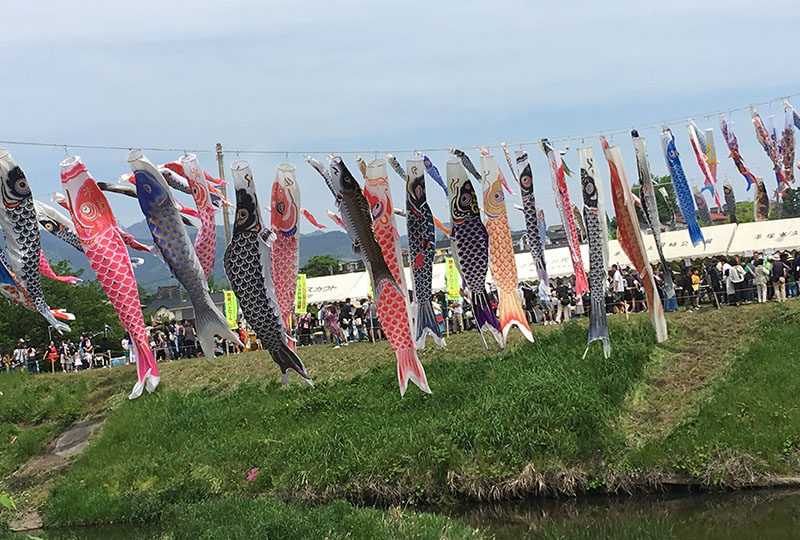 鈴川鯉のぼりまつりの写真素材写真素材なら「写真AC」無料 フリー ダウンロードOK