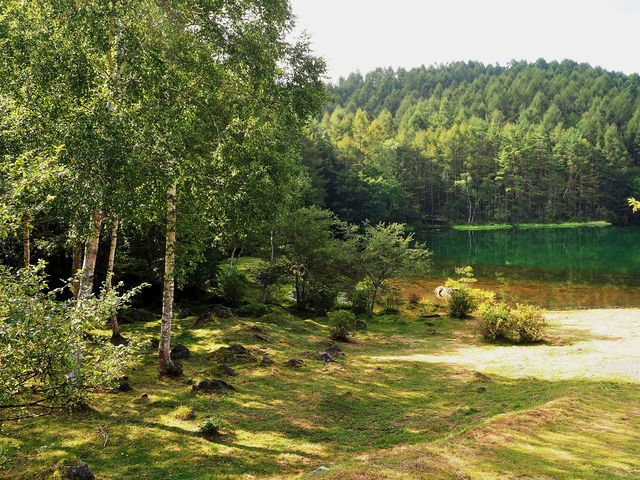 おしどり隠しの滝の冬と秋 - 季節の変化