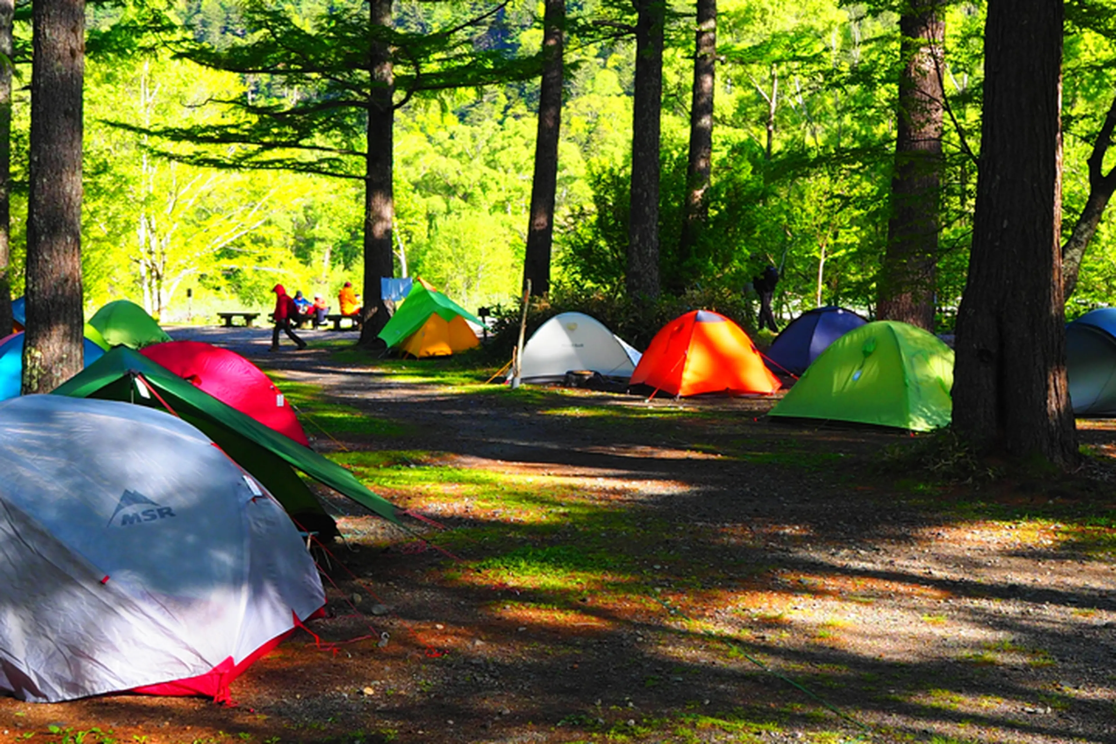 小梨平キャンプ場について上高地の呼吸を感じる小梨平キャンプ場