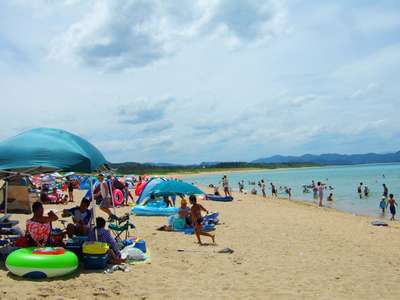 AmazonRed Suricata 砂が消える