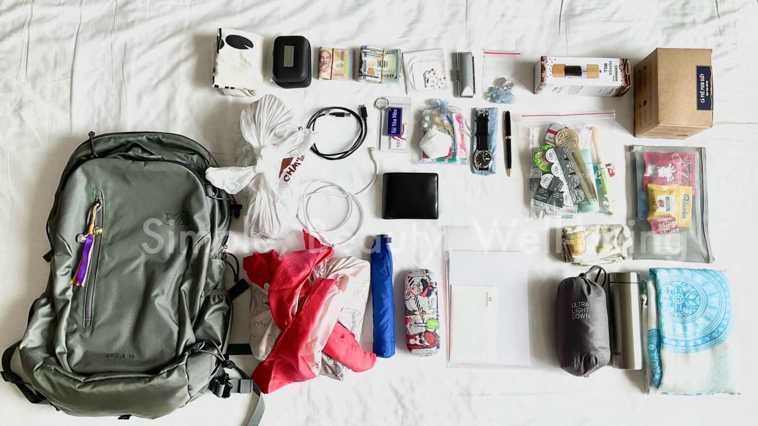 日帰り旅行に必要な持ち物リスト2025 年のリアルなLemon8ユーザー体験