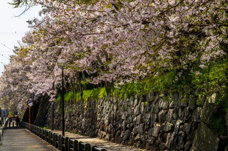 津市 キッチンカーや憩いスペースが登場♪ 10月16日より「ふらっと大門・丸之内＠お城前公園」が開催されます！号外NET