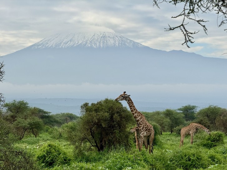アンボセリ国立公園トキドキタビ