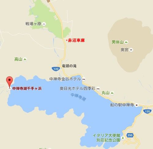 栃木県の巨木 日光中禅寺湖・千手堂の古木
