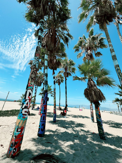 心が解放される自由な世界、西海岸のビーチライフに迫る東京で建てるリゾート注文住宅はカジャデザイン