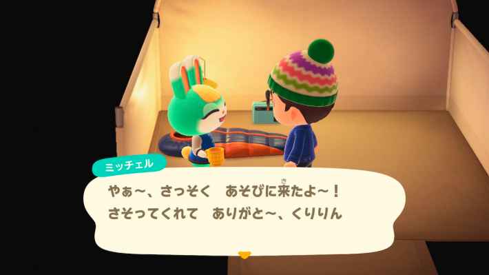 最終値下げ あつ森amiiboカードカモミ