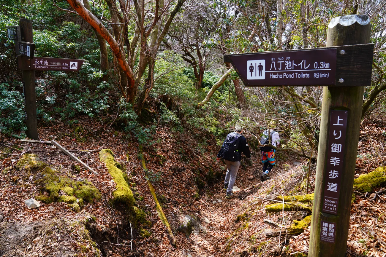 紅葉の中禅寺湖スカイライン＆半月山ハイキング おすすめ観光コース日光観光ライブ情報局