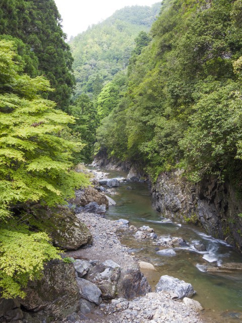 京都の避暑地「清滝」の川辺は最高 ～嵐山からの散策の見所と、愛宕山登山口周辺の清滝川で涼む～ぐうた楽ブログ