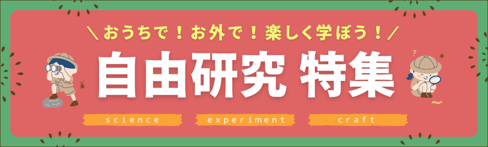 森絵都さん ベストセラー小説「カラフル」生んだ出会い - 日本経済新聞