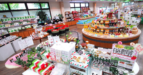 家族みんなで思いっきり遊べる！阿蘇ファームランドの楽しみ方教えます九州ラボ