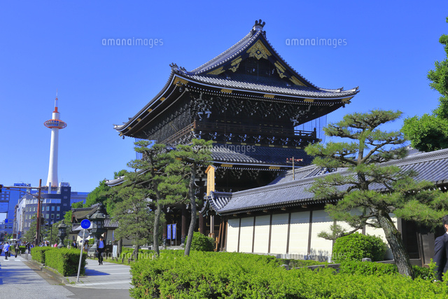 京都タワーライトアップの写真素材写真素材なら「写真AC」無料 フリー ダウンロードOK