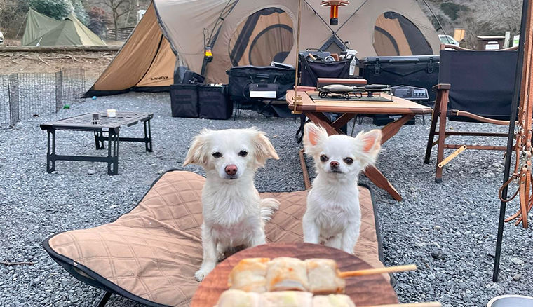 2021年最新 温泉も川も楽しめる埼玉のおすすめキャンプ場7選 -