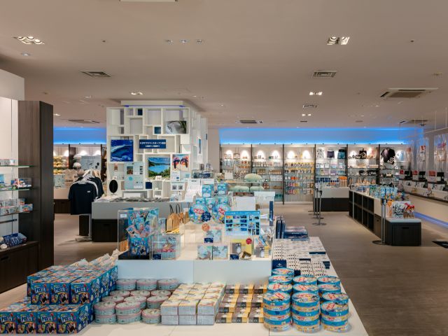 すみだ水族館 水族館 チケット スカイツリー セット