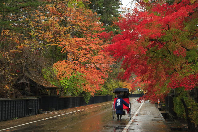 角館町の人力車ランキングTOP1 - じゃらんnet
