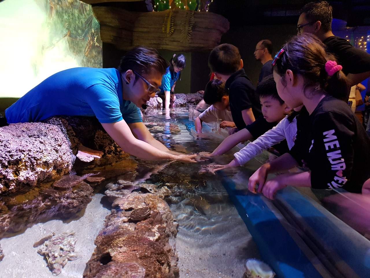 穴場 ジャカルタから2時間で綺麗な海：セパ島Easy Going