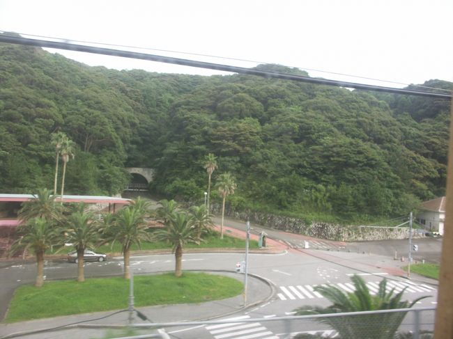 今はなき南国の楽園「行川アイランド」。その周辺で、ある生き物が大繁殖しています 季節・暮らしの話題 2019年08月12日- 日本気象協会tenki.jp