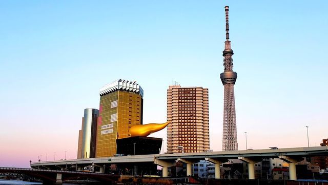 隅田公園の桜とスカイツリ