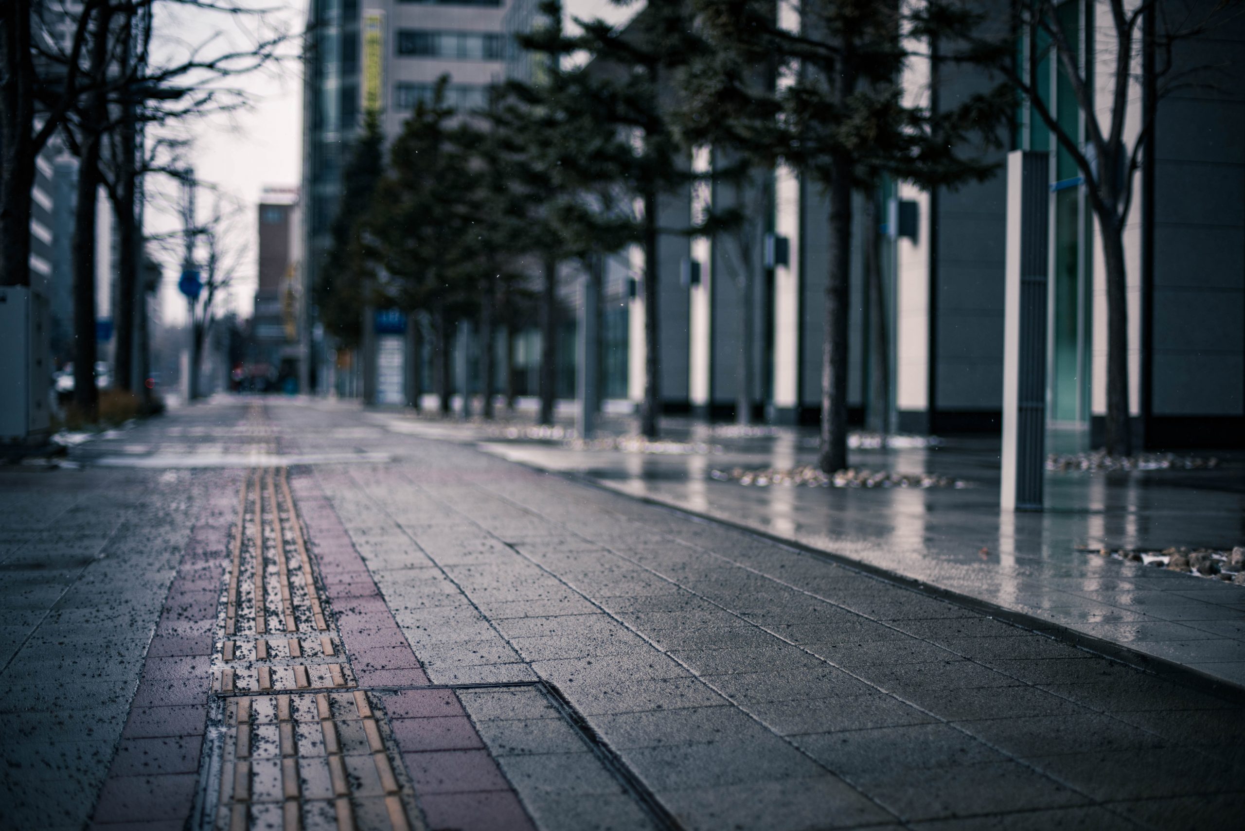 Adobe Photoshop, Lightroom