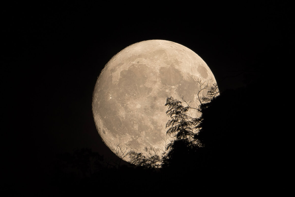 中秋の名月」が満月になるのは7年後！？満月と「岐阜城」が競演する奇跡の瞬間を撮影！CBC MAGAZINE CBCマガジン