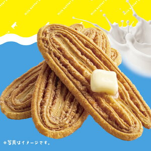 群馬 お土産 富岡製糸場ベイクドショコラ 12個 世界文化遺産