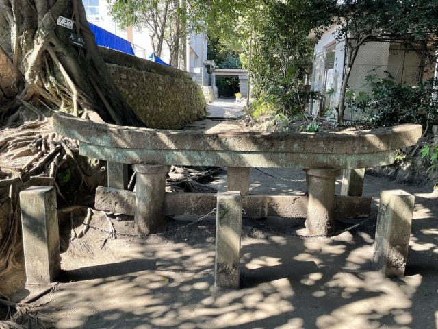 腹五社神社 桜島大正大噴火の威力を現在に伝える黒神埋没鳥居│Harada Office Weblog