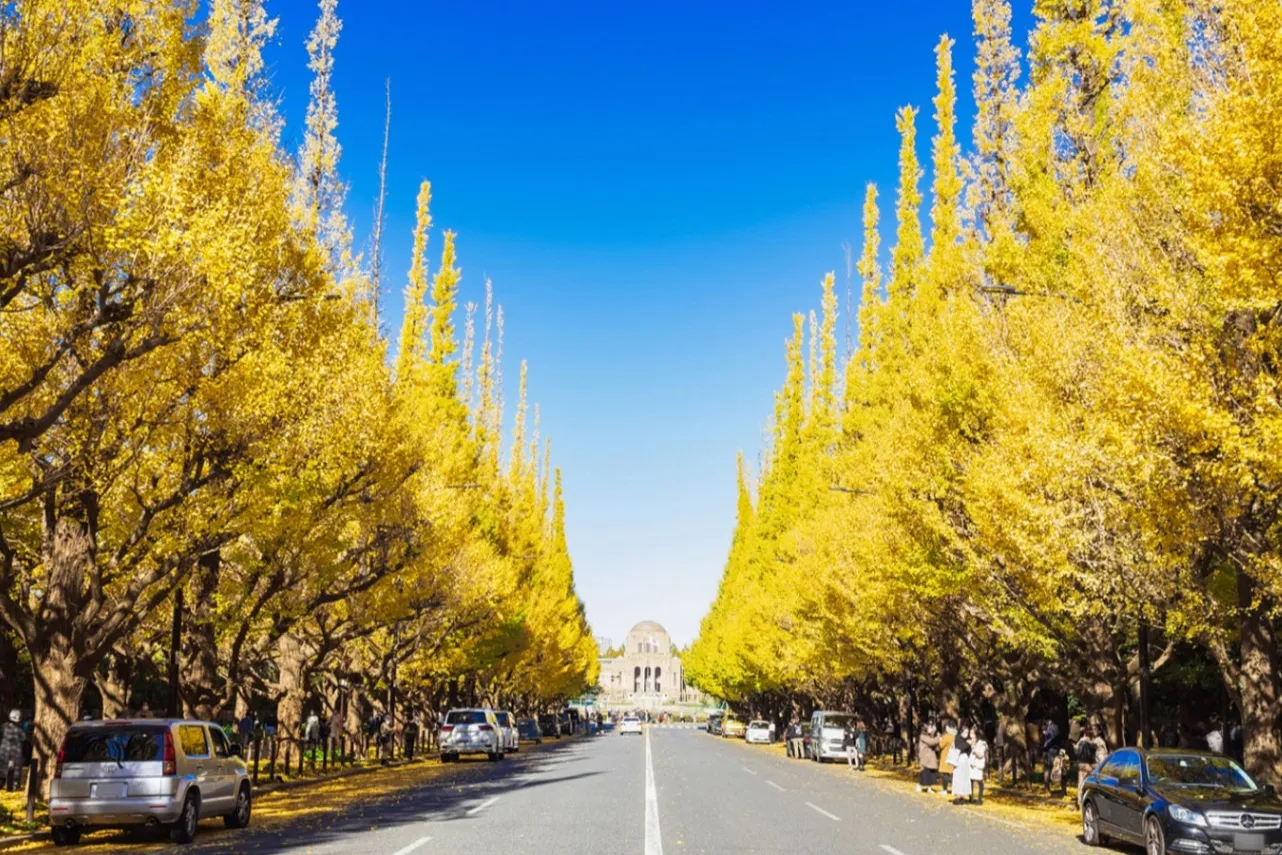 明治神宮外苑名所紹介 史跡・名木
