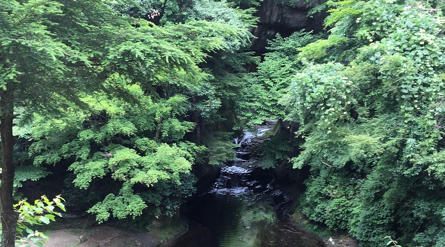 観光情報 清水渓流広場 濃溝の滝・亀岩の洞窟 のご案内地域情報千葉奥房総の亀山温泉ホテル