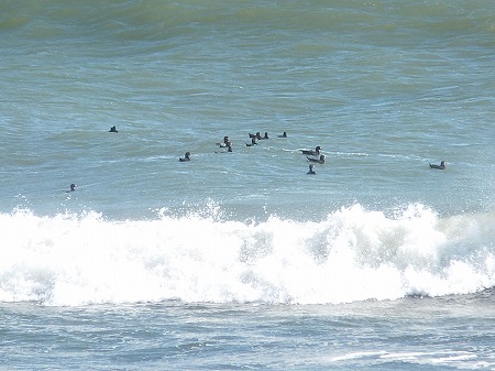 恋が生まれる秘境のポイント？ 一生で一度はここでサーフィンしてみたかった。in宮崎