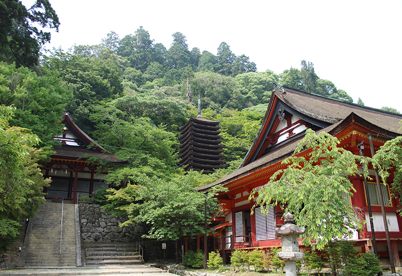 桜井市奈良県観光 公式サイトあをによし なら旅ネット桜井市山の辺・飛鳥・橿原・宇陀エリア公共観光施設観光