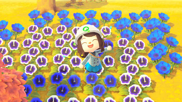 あつ森 ブルーの花mao's blog