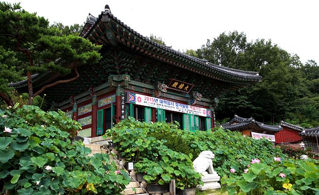 韓国のお寺に泊まる！海印寺 ヘインサ の体験型テンプルステイたびせん.com