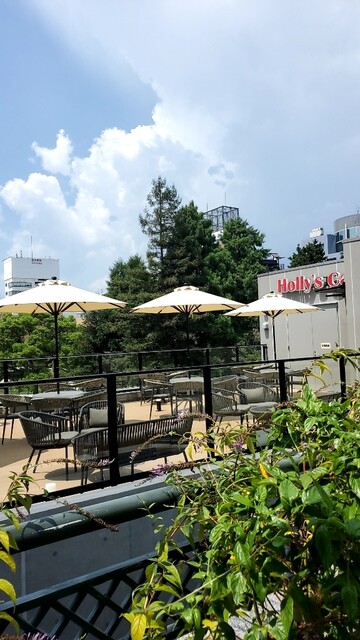 オープンテラスで開放的♪『ホリーズカフェ 阪神尼崎駅前店』が3月20日オープンKiss PRESS キッスプレス