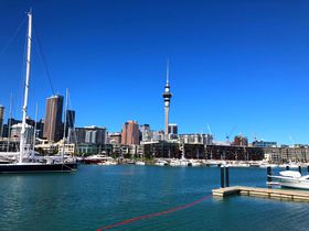 世界一周2025旅行記3 ニュージーランド・オークランド ニュージーランド最大の都市の観光巡りです