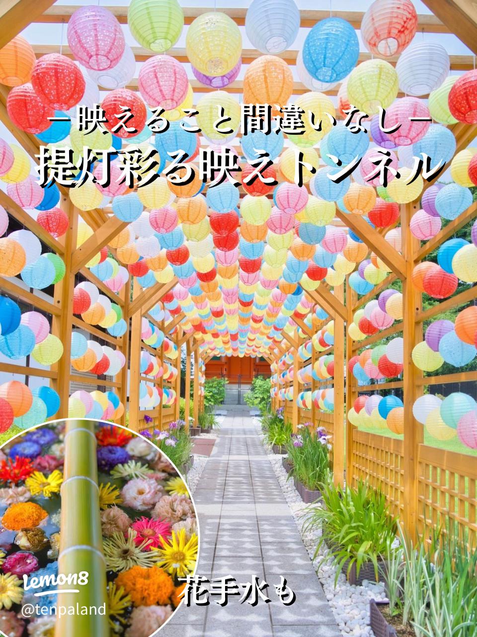 車と風景の撮影スポット紹介⑩ 埼玉編けいせん