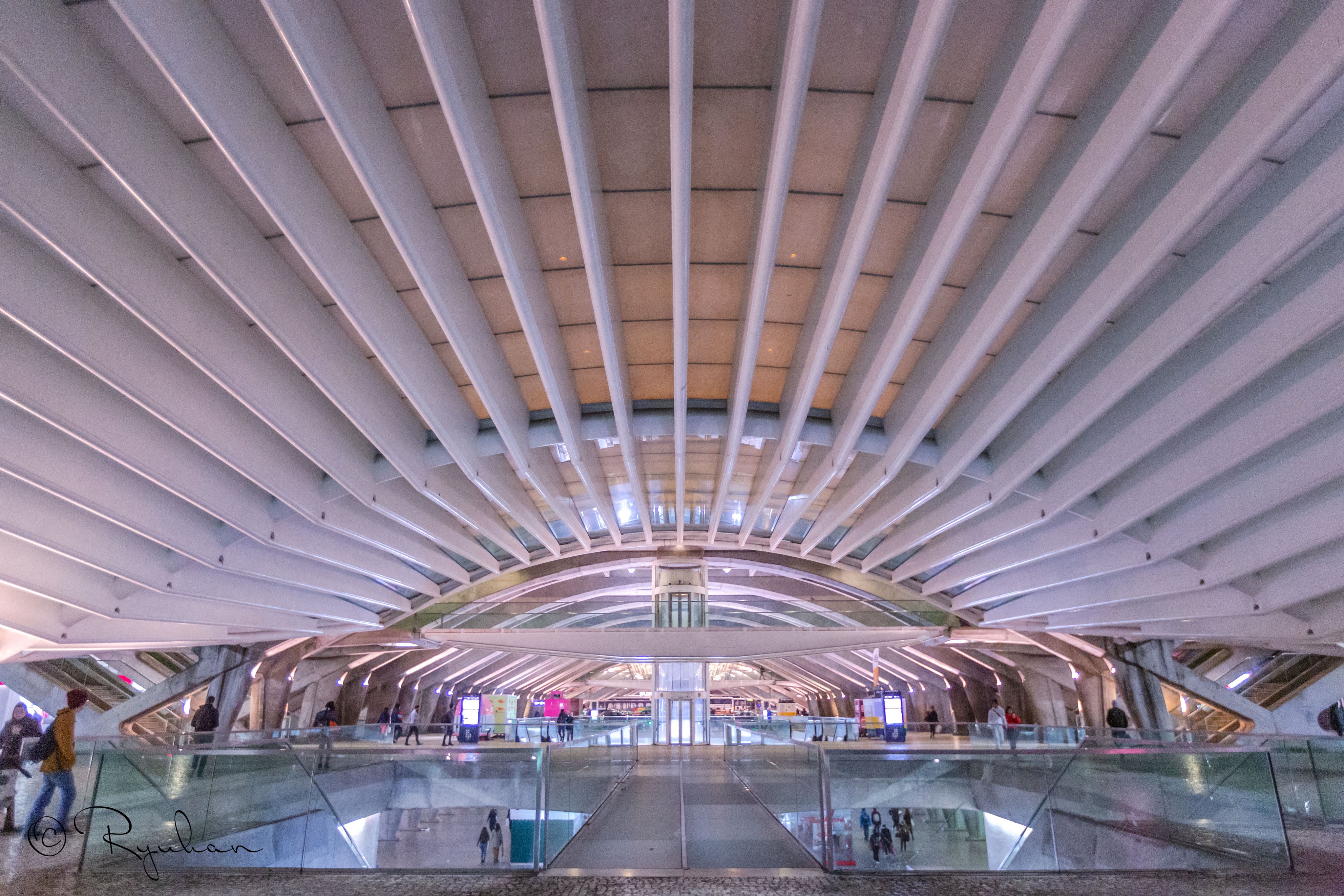 リスボン、ポルトガル-2017年12月30日-サンティアゴカラトラバによるオリエンテ駅の近代建築。の写真素材・画像素材 Image 130820160